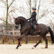 LeMieux Crystal Suede Zadeldek Core Zadeldoeken - Maddelin Equestrian LeMieux