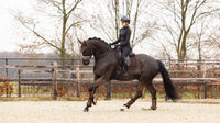 LeMieux Crystal Suede Zadeldek Core Zadeldoeken - Maddelin Equestrian LeMieux