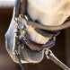 LeMieux Curb Kinkettingbeschermer Toebehoren bitten - Maddelin Equestrian LeMieux