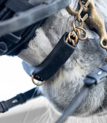 LeMieux Curb Kinkettingbeschermer Toebehoren bitten - Maddelin Equestrian LeMieux