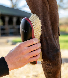 LeMieux Dandy Borstel Borstels & toebehoren - Maddelin Equestrian LeMieux
