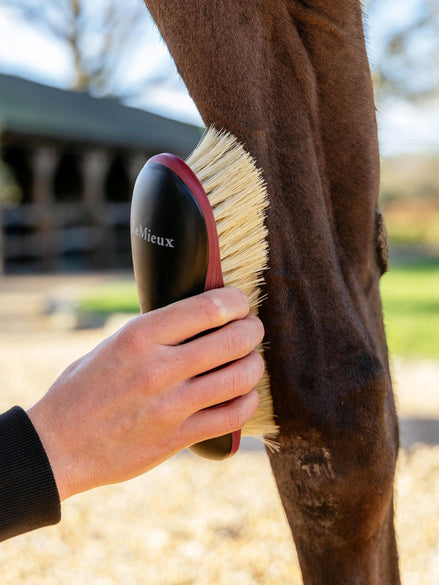 LeMieux Dandy Borstel Borstels & toebehoren - Maddelin Equestrian LeMieux