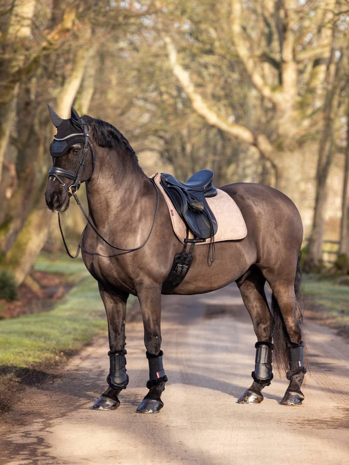 LeMieux Dressuur Zadeldek Work Zadeldoeken - Maddelin Equestrian LeMieux