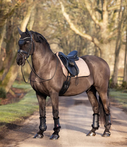LeMieux Dressuur Zadeldek Work Zadeldoeken - Maddelin Equestrian LeMieux