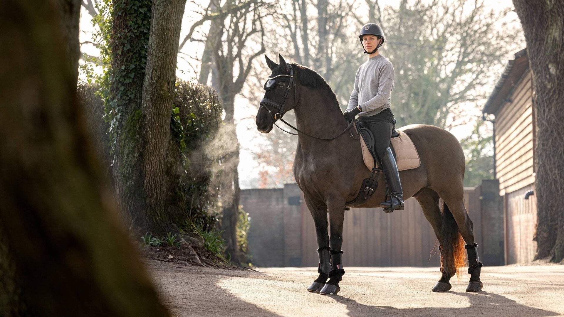 LeMieux Dressuur Zadeldek Work Zadeldoeken - Maddelin Equestrian LeMieux