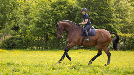 LeMieux Dressuur Zadeldek Work Zadeldoeken - Maddelin Equestrian LeMieux