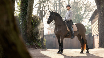 LeMieux Dressuur Zadeldek Work Zadeldoeken - Maddelin Equestrian LeMieux