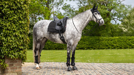 LeMieux Dressuur Zadeldek Work Zadeldoeken - Maddelin Equestrian LeMieux