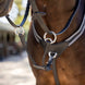 LeMieux Elastische Martingaal Borstriemen en martingalen - Maddelin Equestrian LeMieux
