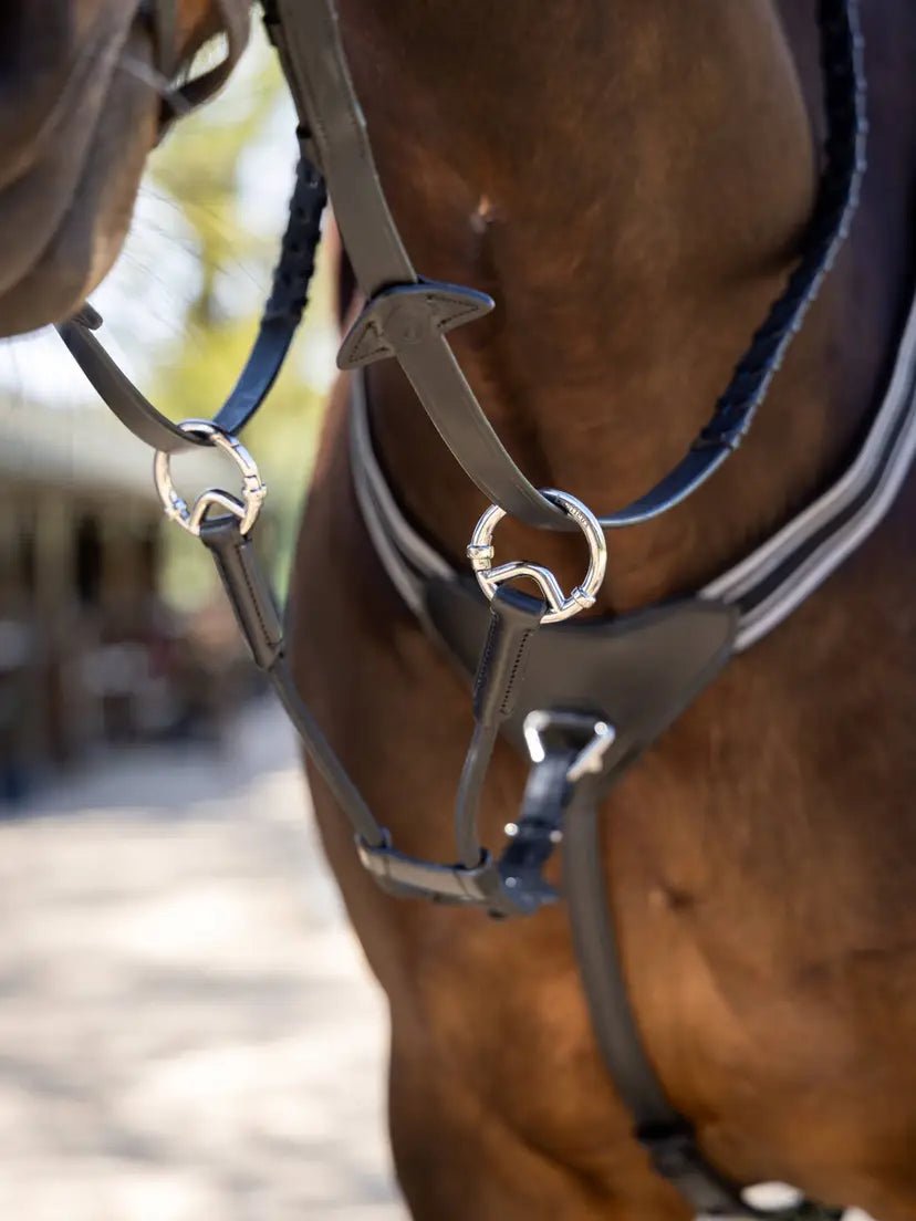 LeMieux Elastische Martingaal Borstriemen en martingalen - Maddelin Equestrian LeMieux