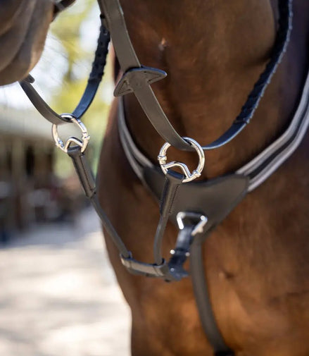 LeMieux Elastische Martingaal Borstriemen en martingalen - Maddelin Equestrian LeMieux