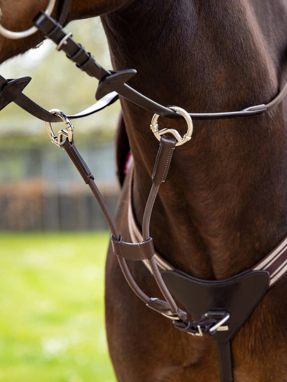 LeMieux Elastische Martingaal Borstriemen en martingalen - Maddelin Equestrian