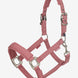 LeMieux Essence Halster SS25 Nylon halsters - Maddelin Equestrian LeMieux