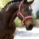 LeMieux Essence Halster SS25 Nylon halsters - Maddelin Equestrian LeMieux