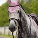LeMieux Essence Oornetje SS26 Fondant Oornetjes - Maddelin Equestrian LeMieux