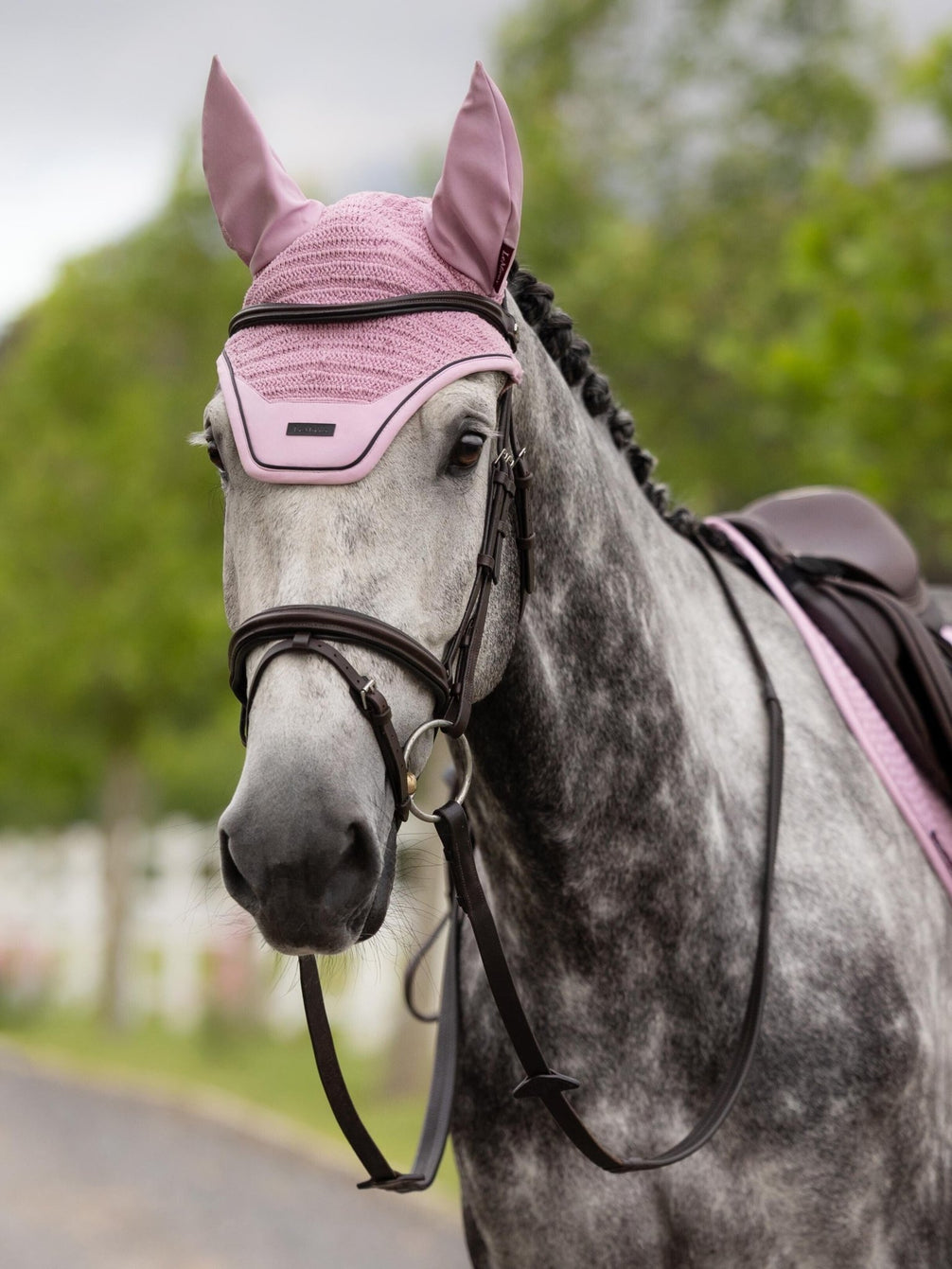 LeMieux Essence Oornetje SS26 Fondant Oornetjes - Maddelin Equestrian LeMieux
