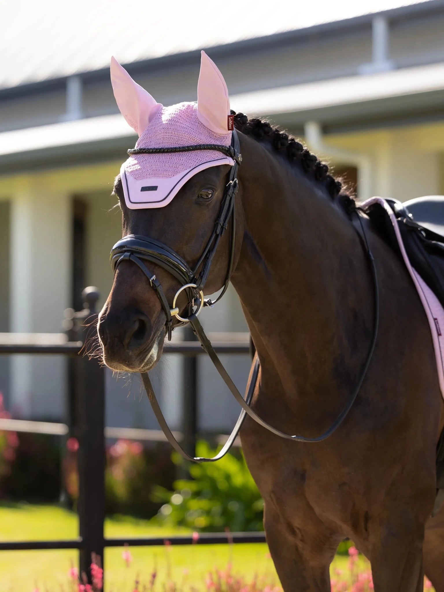 LeMieux Essence Oornetje SS26 Fondant Oornetjes - Maddelin Equestrian LeMieux