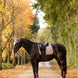 LeMieux Essence Zadeldek AW26 Zadeldoeken - Maddelin Equestrian