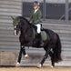 LeMieux Essence Zadeldek Zadeldoeken - Maddelin Equestrian LeMieux
