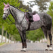 LeMieux Essence Zadeldoek SS26 Zadeldoeken - Maddelin Equestrian LeMieux