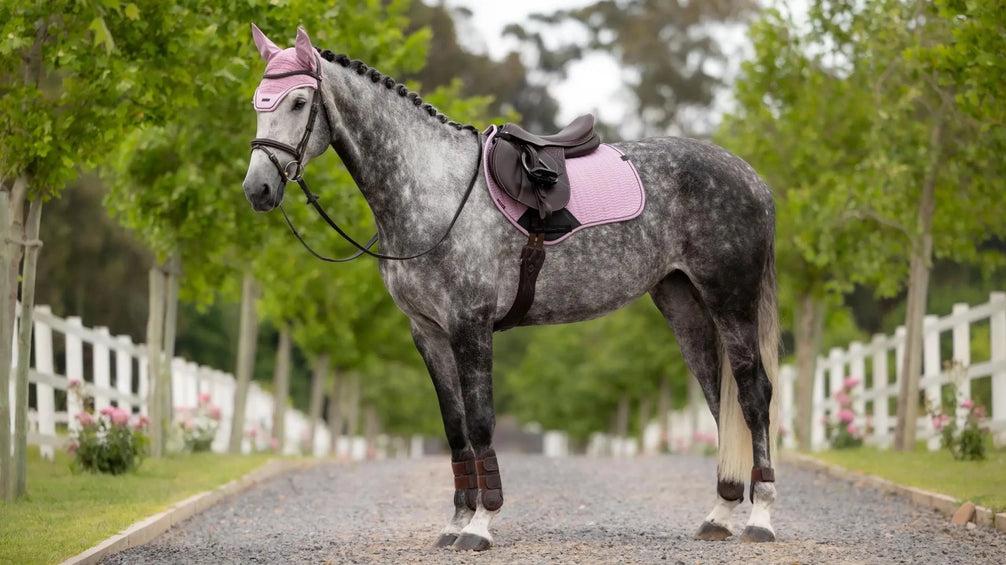 LeMieux Essence Zadeldoek SS26 Zadeldoeken - Maddelin Equestrian LeMieux