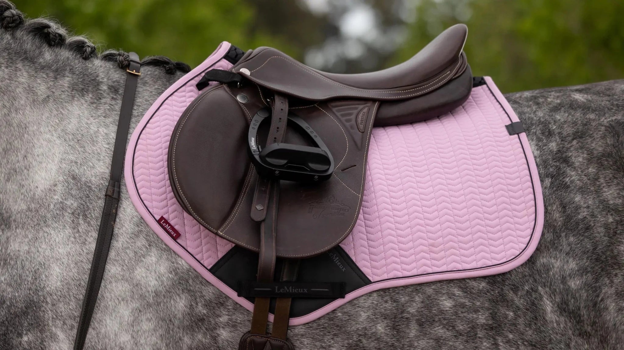 LeMieux Essence Zadeldoek SS26 Zadeldoeken - Maddelin Equestrian LeMieux
