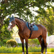 LeMieux Essence Zadeldoek SS26 Zadeldoeken - Maddelin Equestrian LeMieux