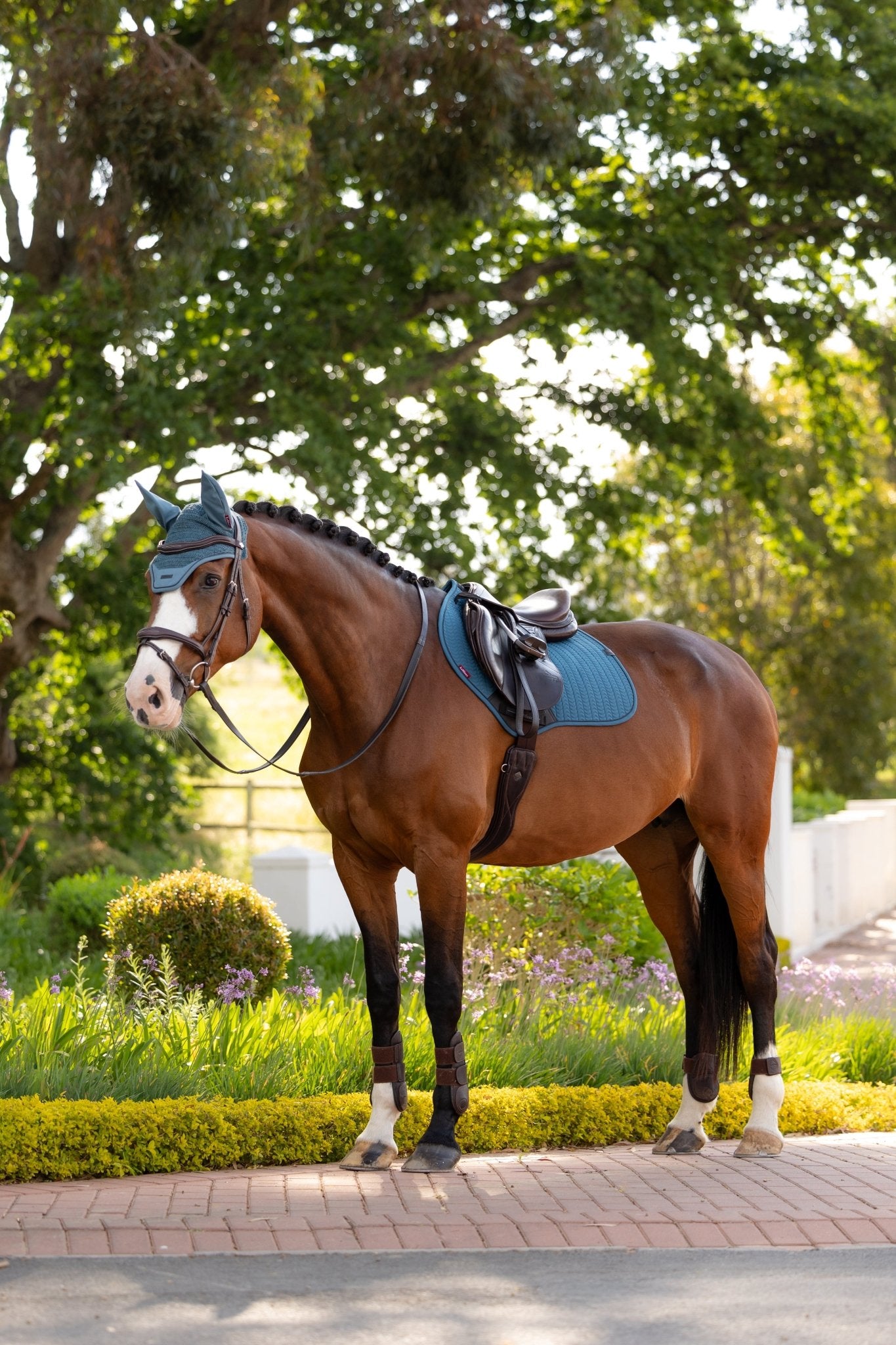 LeMieux Essence Zadeldoek SS26 Zadeldoeken - Maddelin Equestrian LeMieux