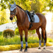 LeMieux Essence Zadeldoek SS26 Zadeldoeken - Maddelin Equestrian LeMieux
