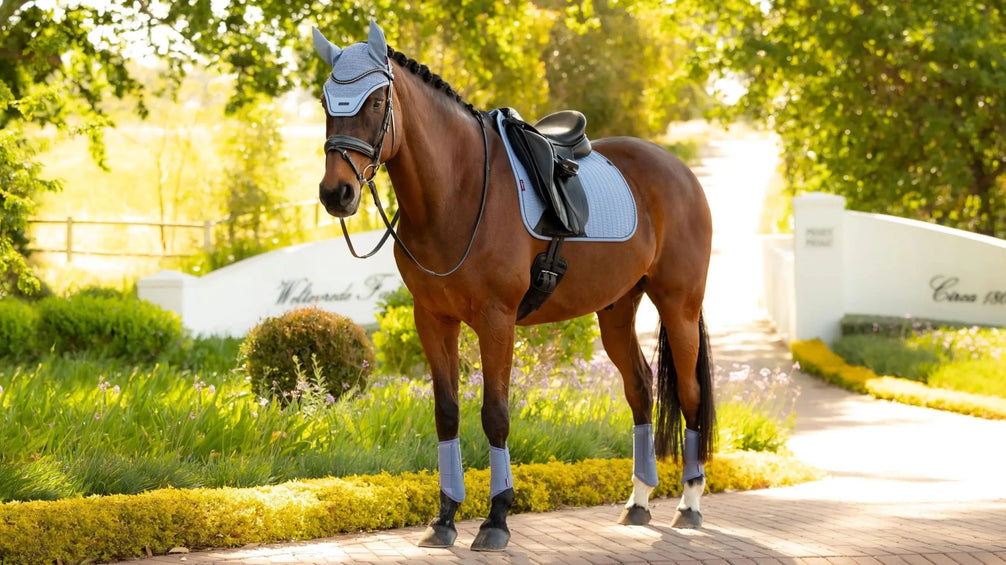 LeMieux Essence Zadeldoek SS26 Zadeldoeken - Maddelin Equestrian LeMieux