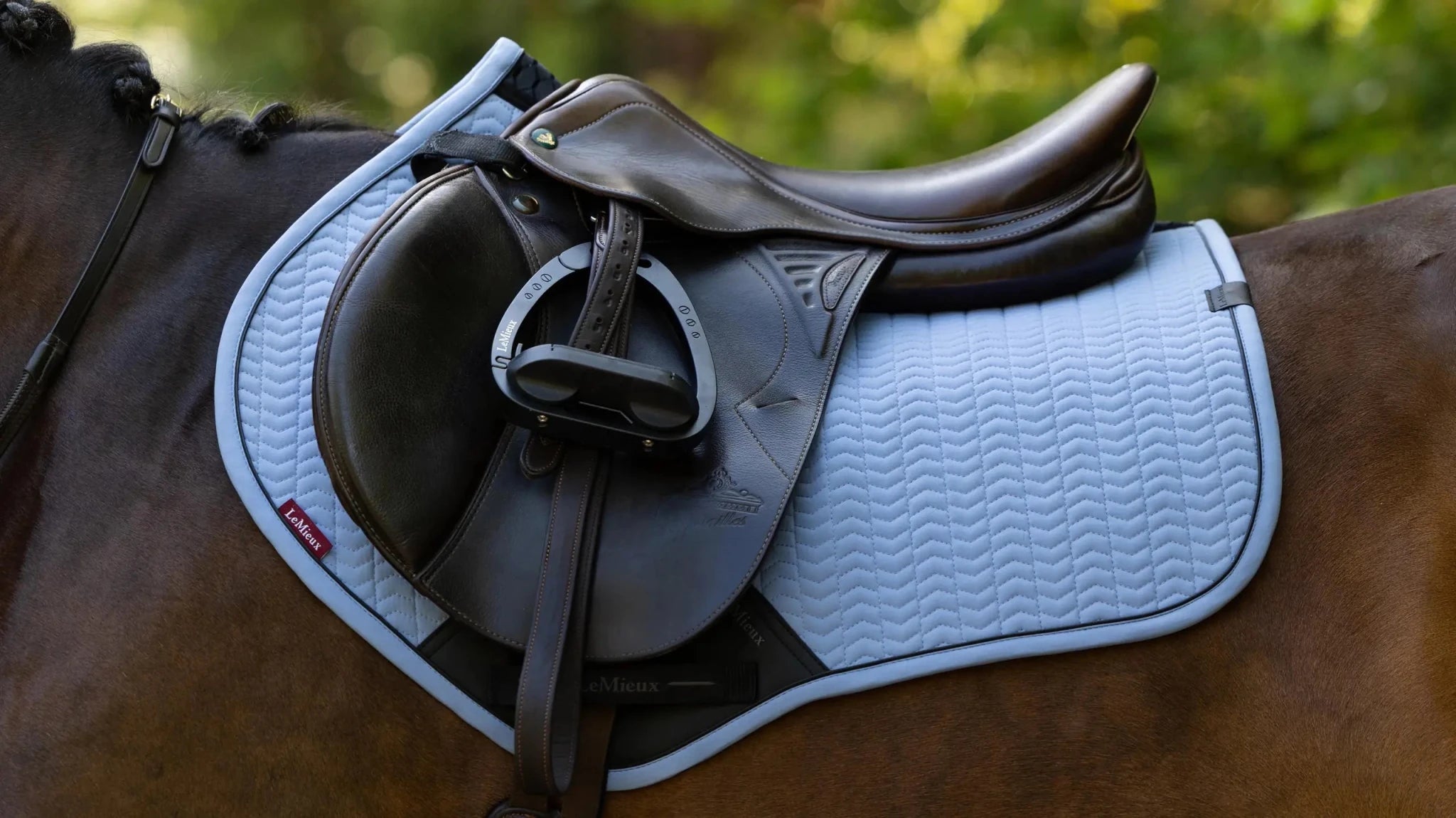 LeMieux Essence Zadeldoek SS26 Zadeldoeken - Maddelin Equestrian LeMieux