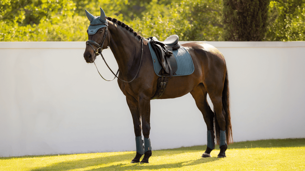 LeMieux Essence Zadeldoek SS26 Zadeldoeken - Maddelin Equestrian LeMieux