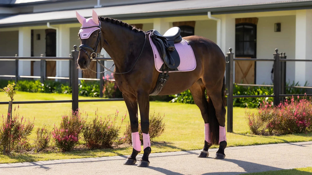 LeMieux Essence Zadeldoek SS26 Zadeldoeken - Maddelin Equestrian LeMieux