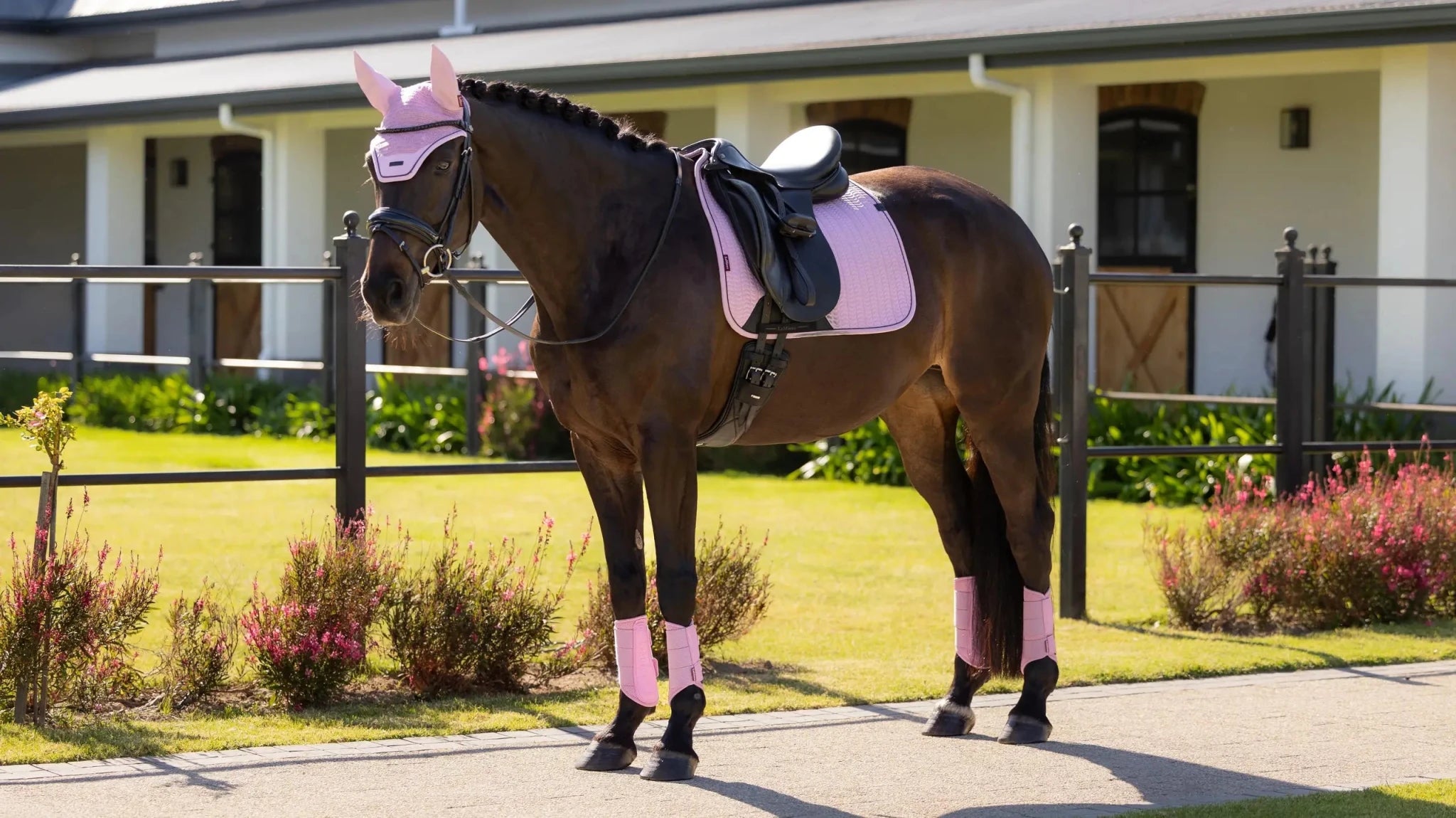 LeMieux Essence Zadeldoek SS26 Zadeldoeken - Maddelin Equestrian LeMieux