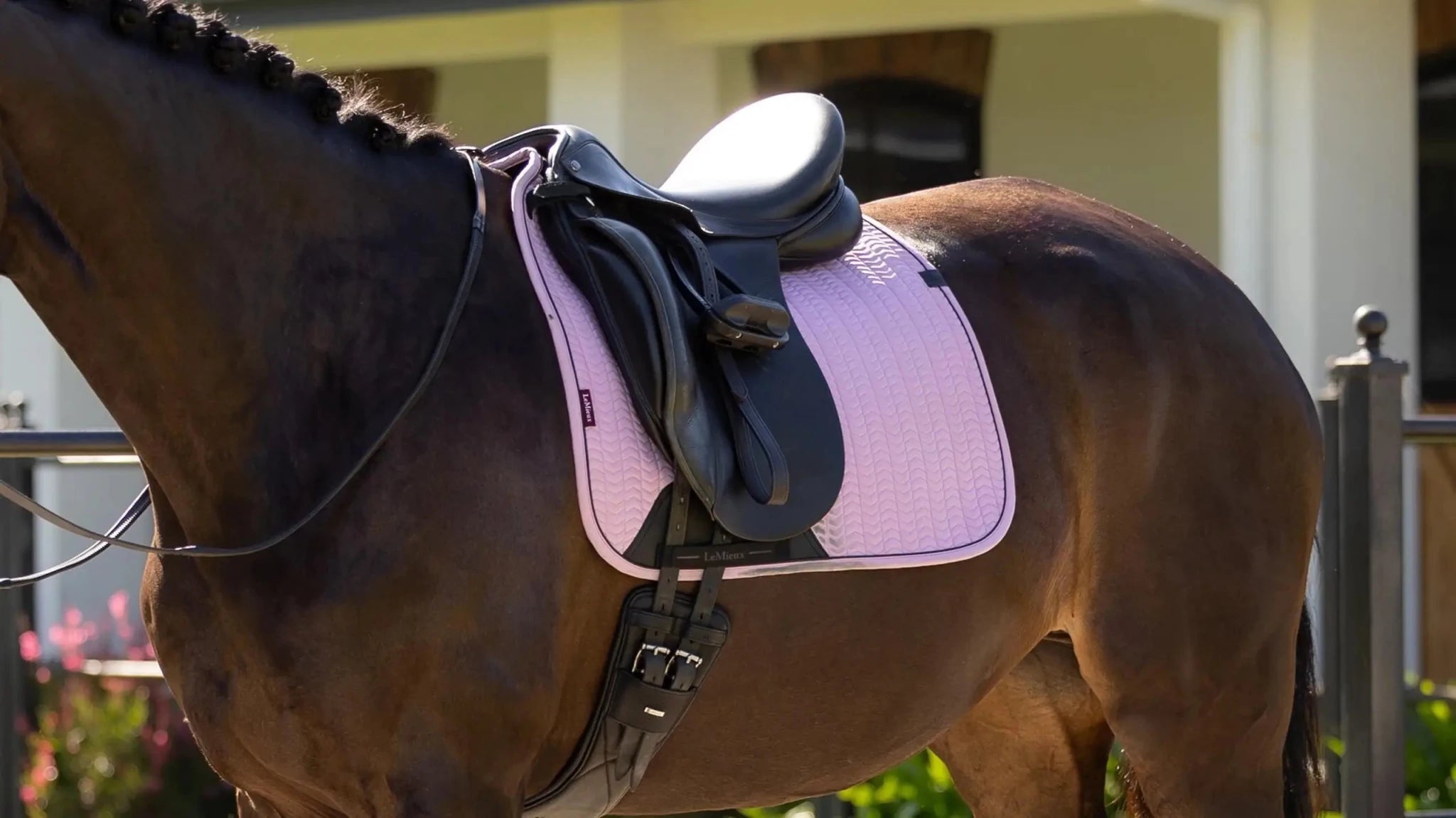 LeMieux Essence Zadeldoek SS26 Zadeldoeken - Maddelin Equestrian LeMieux