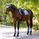 LeMieux Essence Zadeldoek SS26 Zadeldoeken - Maddelin Equestrian LeMieux