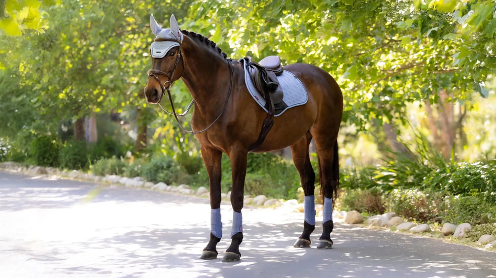 LeMieux Essence Zadeldoek SS26 Zadeldoeken - Maddelin Equestrian LeMieux