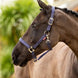 LeMieux Essential Yard Halster Nylon halsters - Maddelin Equestrian LeMieux