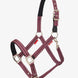 LeMieux Essential Yard Halster Nylon halsters - Maddelin Equestrian LeMieux