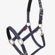 LeMieux Essential Yard Halster Nylon halsters - Maddelin Equestrian LeMieux