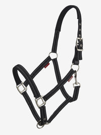 LeMieux Essential Yard Halster Nylon halsters - Maddelin Equestrian LeMieux