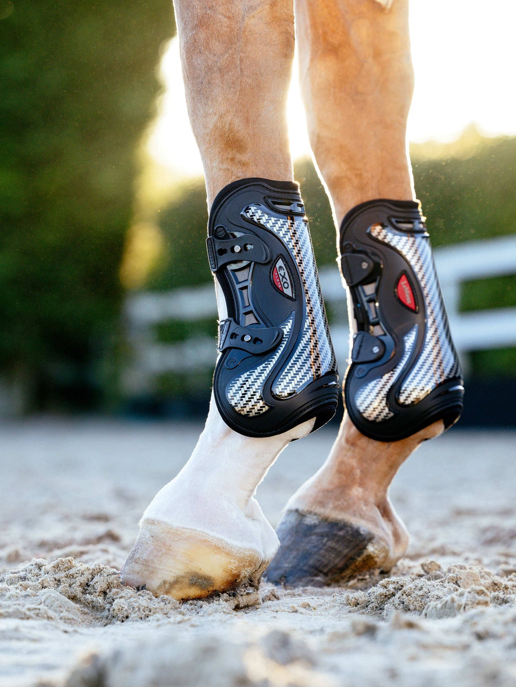 LeMieux Exo - Flex Peesbeschermer Peesbeschermers - Maddelin Equestrian LeMieux