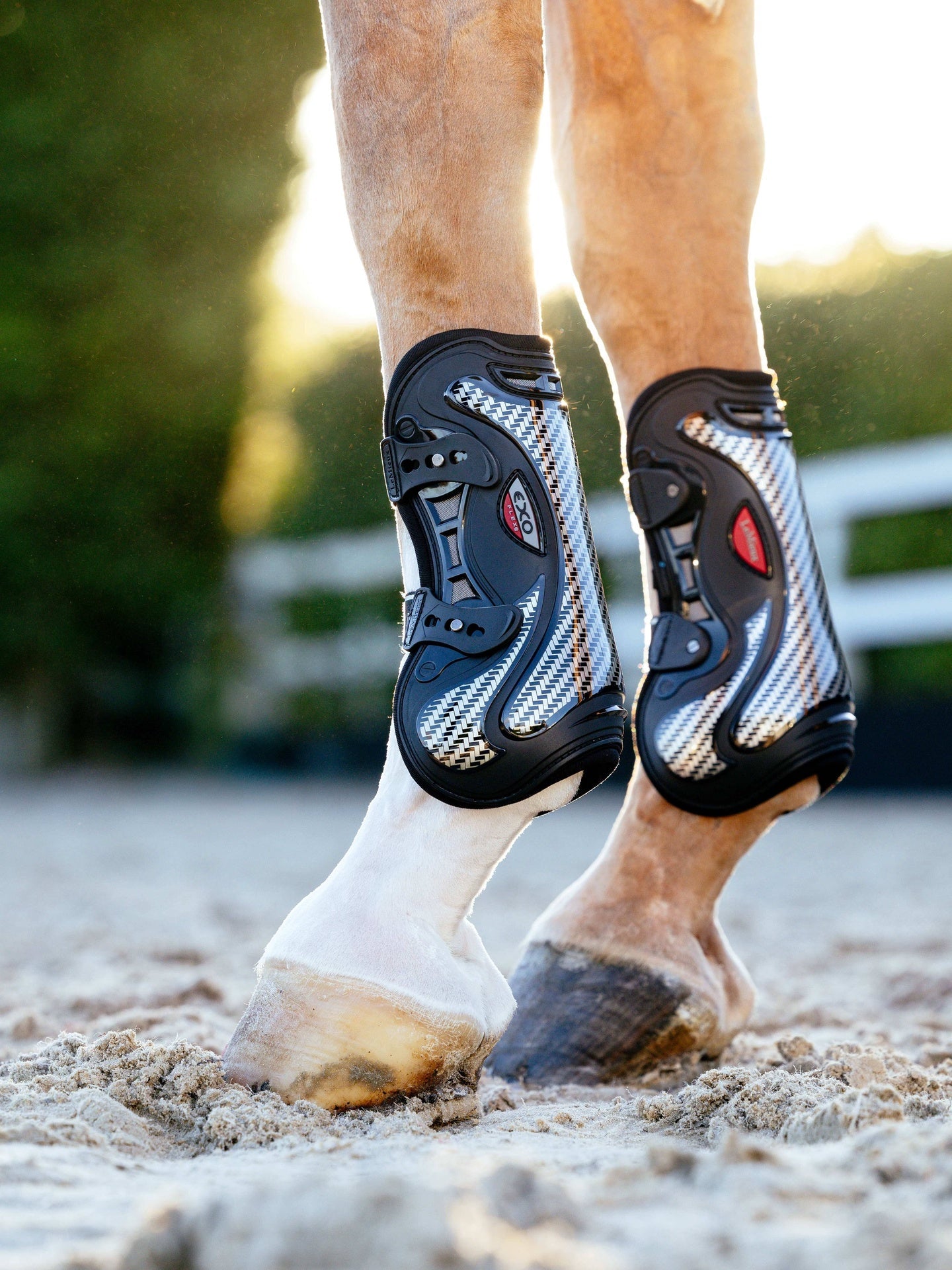 LeMieux Exo - Flex Peesbeschermer Peesbeschermers - Maddelin Equestrian LeMieux