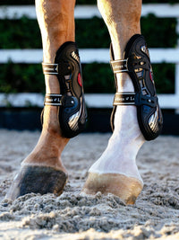 LeMieux Exo - Flex Peesbeschermer Peesbeschermers - Maddelin Equestrian LeMieux
