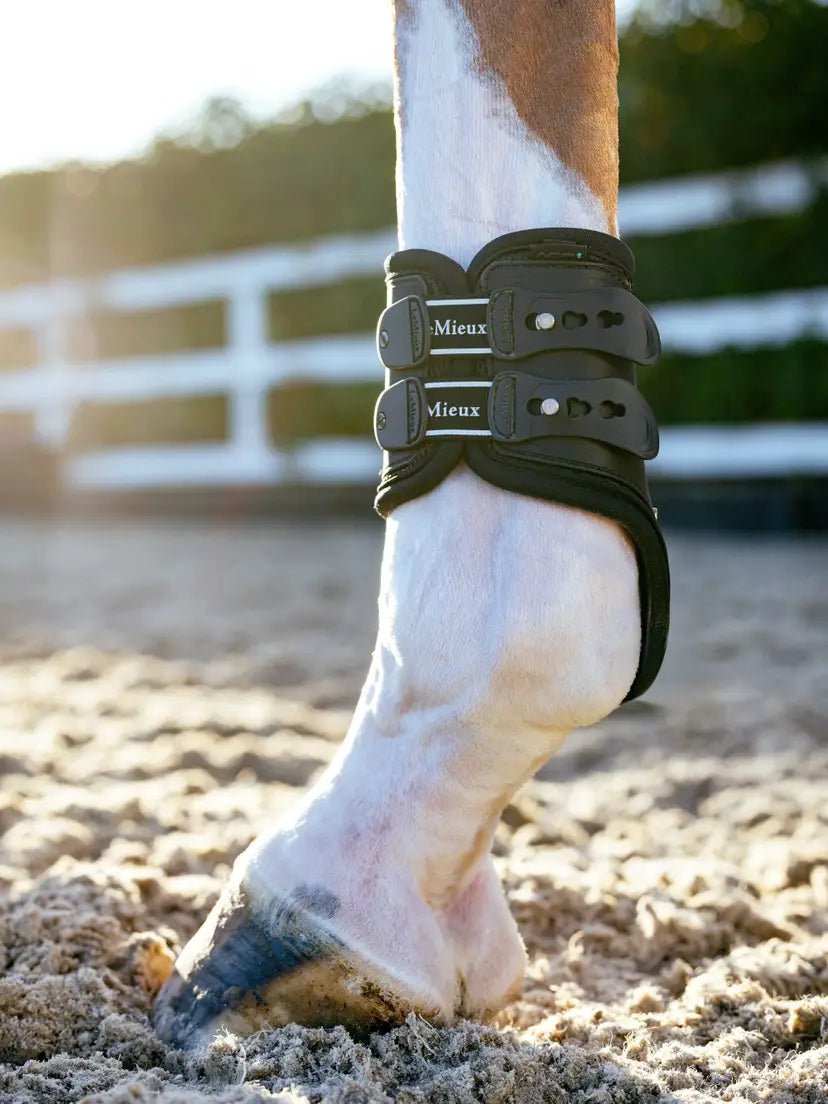 LeMieux Exo - Flex Strijklappen Kogelbeschermers - Maddelin Equestrian LeMieux