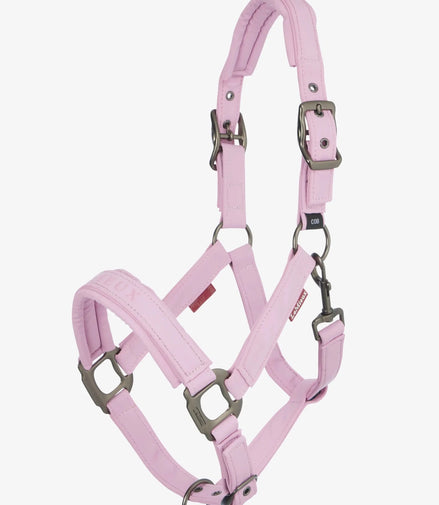 LeMieux Finesse Halster SS26 Nylon halsters - Maddelin Equestrian LeMieux