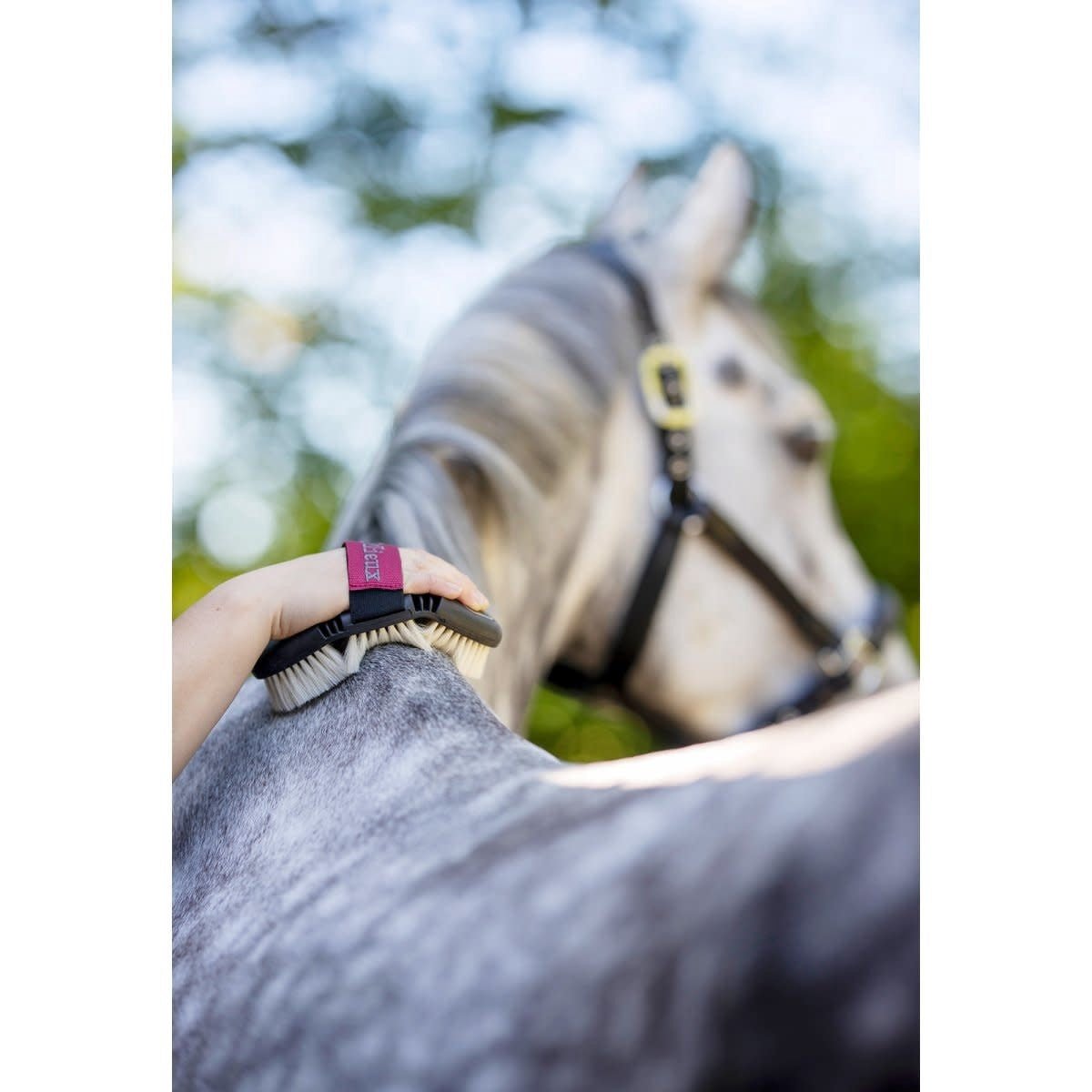 LeMieux Flexi Geitenharen Body Brush Borstels & toebehoren - Maddelin Equestrian LeMieux