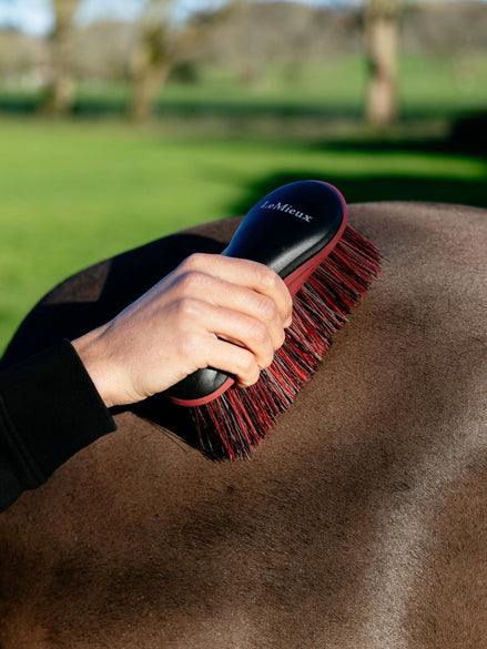 LeMieux Flicky Brush Borstels & toebehoren - Maddelin Equestrian LeMieux
