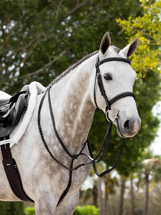 LeMieux Gevlochten Jachtteugels met Stiksels Teugels - Maddelin Equestrian LeMieux