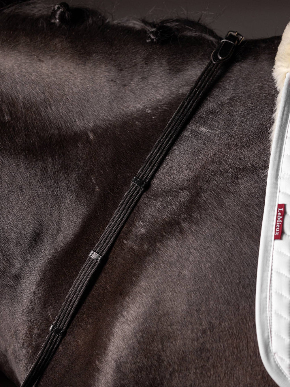 LeMieux Geweven Teugels Continental Teugels - Maddelin Equestrian LeMieux